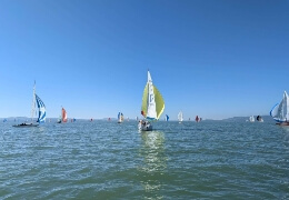 Aranyérmes lett a Siki!