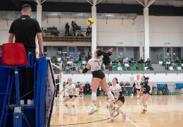 Menetel a VEHIR-VESC